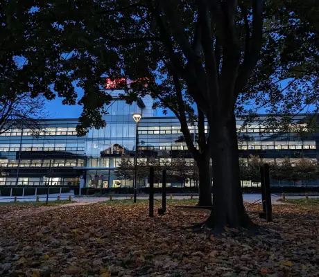 Choose a Leicester website designer